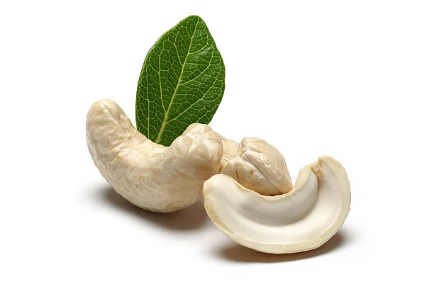 7 Best Dry Fruits to Boost Your Immunity and Stay Fit