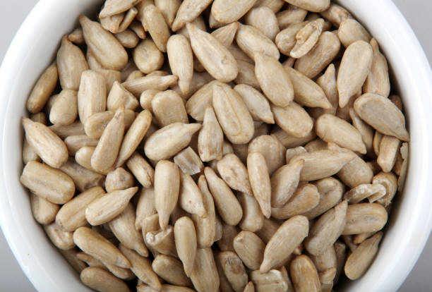 10 Nuts and Seeds Loaded with Protein (and How to Eat Them for Maximum Health Benefits) | 10 नट्स और सीड्स जो प्रोटीन से भरपूर हैं (और उन्हें स्वास्थ्य के लिए सबसे अच्छे तरीके से कैसे खाएं)