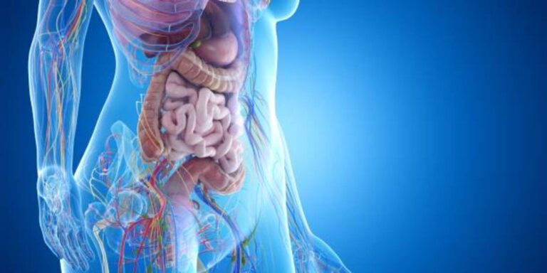 100% Natural Ways to Improve Gut Health Naturally at Home Hindi 